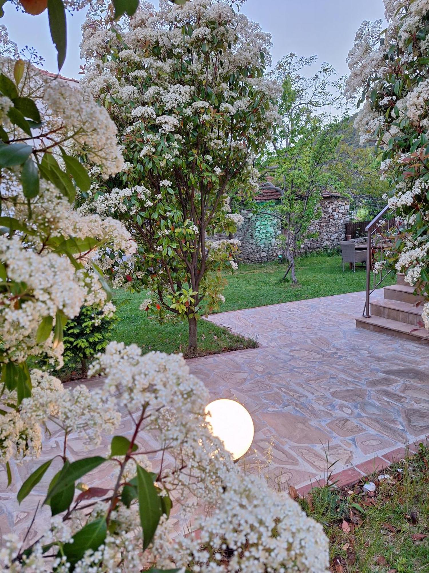 Appartement On Mount Olympus Karia (Thessaly)